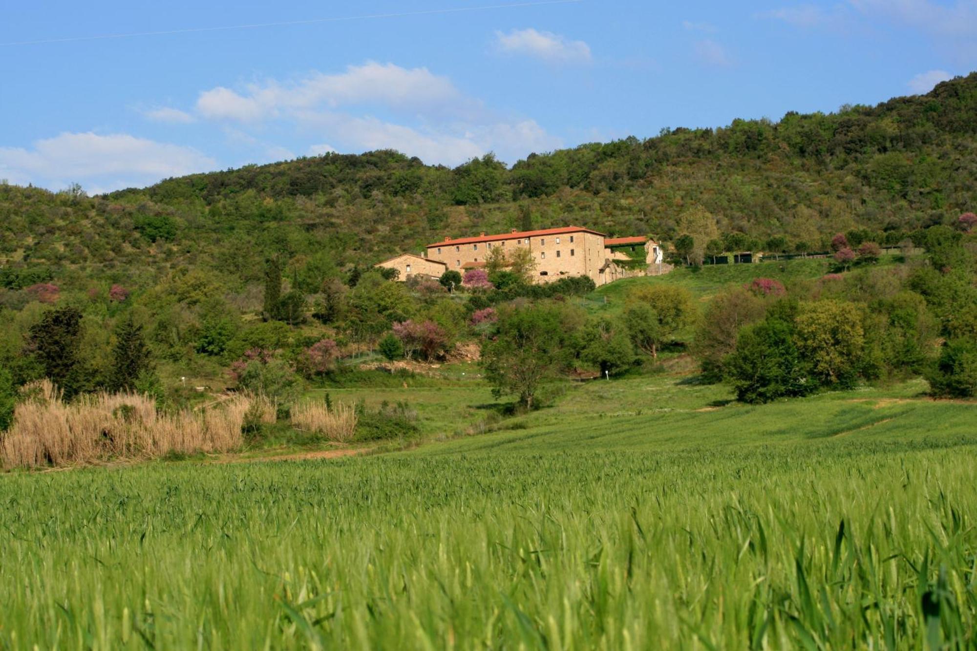 Agriturismo San Ottaviano Monterotondo  Екстериор снимка